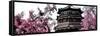 China 10MKm2 Collection - Summer Palace Temple-Philippe Hugonnard-Framed Stretched Canvas