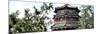 China 10MKm2 Collection - Summer Palace Temple-Philippe Hugonnard-Mounted Photographic Print