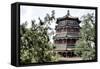 China 10MKm2 Collection - Summer Palace-Philippe Hugonnard-Framed Stretched Canvas