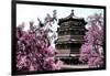 China 10MKm2 Collection - Summer Palace-Philippe Hugonnard-Framed Photographic Print