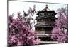 China 10MKm2 Collection - Summer Palace-Philippe Hugonnard-Mounted Photographic Print