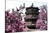 China 10MKm2 Collection - Summer Palace-Philippe Hugonnard-Stretched Canvas