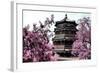 China 10MKm2 Collection - Summer Palace-Philippe Hugonnard-Framed Photographic Print