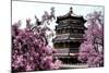 China 10MKm2 Collection - Summer Palace-Philippe Hugonnard-Mounted Photographic Print