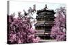 China 10MKm2 Collection - Summer Palace-Philippe Hugonnard-Stretched Canvas