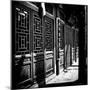 China 10MKm2 Collection - Temple Detail-Philippe Hugonnard-Mounted Photographic Print