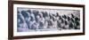 China 10MKm2 Collection - Terracotta Army-Philippe Hugonnard-Framed Photographic Print