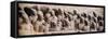 China 10MKm2 Collection - Terracotta Army-Philippe Hugonnard-Framed Stretched Canvas