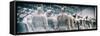 China 10MKm2 Collection - Terracotta Army-Philippe Hugonnard-Framed Stretched Canvas