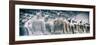 China 10MKm2 Collection - Terracotta Army-Philippe Hugonnard-Framed Photographic Print