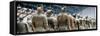 China 10MKm2 Collection - Terracotta Army-Philippe Hugonnard-Framed Stretched Canvas