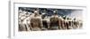 China 10MKm2 Collection - Terracotta Army-Philippe Hugonnard-Framed Photographic Print