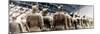 China 10MKm2 Collection - Terracotta Army-Philippe Hugonnard-Mounted Photographic Print