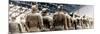 China 10MKm2 Collection - Terracotta Army-Philippe Hugonnard-Mounted Photographic Print