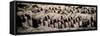 China 10MKm2 Collection - Terracotta Army-Philippe Hugonnard-Framed Stretched Canvas