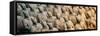 China 10MKm2 Collection - Terracotta Army-Philippe Hugonnard-Framed Stretched Canvas