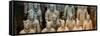 China 10MKm2 Collection - Terracotta Army-Philippe Hugonnard-Framed Stretched Canvas