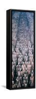 China 10MKm2 Collection - Terracotta Army-Philippe Hugonnard-Framed Stretched Canvas