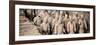 China 10MKm2 Collection - Terracotta Army-Philippe Hugonnard-Framed Photographic Print