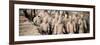 China 10MKm2 Collection - Terracotta Army-Philippe Hugonnard-Framed Photographic Print