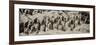 China 10MKm2 Collection - Terracotta Army-Philippe Hugonnard-Framed Photographic Print