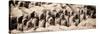 China 10MKm2 Collection - Terracotta Army-Philippe Hugonnard-Stretched Canvas