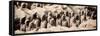 China 10MKm2 Collection - Terracotta Army-Philippe Hugonnard-Framed Stretched Canvas