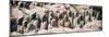 China 10MKm2 Collection - Terracotta Army-Philippe Hugonnard-Mounted Photographic Print