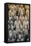 China 10MKm2 Collection - Terracotta Army-Philippe Hugonnard-Framed Stretched Canvas