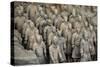 China 10MKm2 Collection - Terracotta Army-Philippe Hugonnard-Stretched Canvas