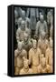 China 10MKm2 Collection - Terracotta Army-Philippe Hugonnard-Framed Stretched Canvas