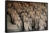 China 10MKm2 Collection - Terracotta Army-Philippe Hugonnard-Framed Stretched Canvas