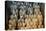 China 10MKm2 Collection - Terracotta Army-Philippe Hugonnard-Stretched Canvas