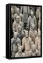 China 10MKm2 Collection - Terracotta Army-Philippe Hugonnard-Framed Stretched Canvas