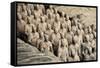 China 10MKm2 Collection - Terracotta Army-Philippe Hugonnard-Framed Stretched Canvas