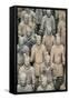 China 10MKm2 Collection - Terracotta Army-Philippe Hugonnard-Framed Stretched Canvas