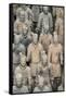 China 10MKm2 Collection - Terracotta Army-Philippe Hugonnard-Framed Stretched Canvas