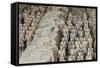 China 10MKm2 Collection - Terracotta Army-Philippe Hugonnard-Framed Stretched Canvas