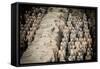 China 10MKm2 Collection - Terracotta Army-Philippe Hugonnard-Framed Stretched Canvas