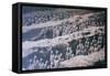 China 10MKm2 Collection - Terracotta Army-Philippe Hugonnard-Framed Stretched Canvas