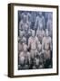 China 10MKm2 Collection - Terracotta Army-Philippe Hugonnard-Framed Photographic Print