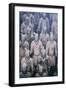 China 10MKm2 Collection - Terracotta Army-Philippe Hugonnard-Framed Photographic Print