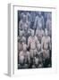 China 10MKm2 Collection - Terracotta Army-Philippe Hugonnard-Framed Photographic Print