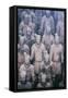 China 10MKm2 Collection - Terracotta Army-Philippe Hugonnard-Framed Stretched Canvas