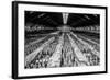 China 10MKm2 Collection - Terracotta Army-Philippe Hugonnard-Framed Photographic Print