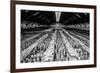 China 10MKm2 Collection - Terracotta Army-Philippe Hugonnard-Framed Photographic Print