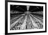 China 10MKm2 Collection - Terracotta Army-Philippe Hugonnard-Framed Photographic Print