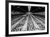 China 10MKm2 Collection - Terracotta Army-Philippe Hugonnard-Framed Photographic Print