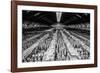 China 10MKm2 Collection - Terracotta Army-Philippe Hugonnard-Framed Photographic Print