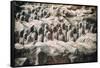 China 10MKm2 Collection - Terracotta Army-Philippe Hugonnard-Framed Stretched Canvas